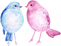 zwei Vögel schauen sich an