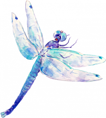 Aquarellillustration einer blauen Libelle mit transparenten Flügeln