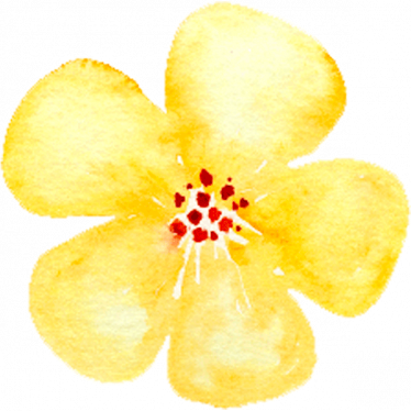 Gelbe Blütenillustration mit fünf Blütenblättern und rotem Blütenzentrum auf hellem Hintergrund