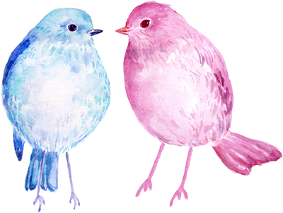zwei Vögel schauen sich an